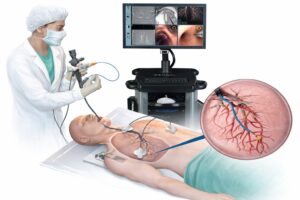 whatsapp image 2026 01 28 at 2.51.45 pm (2)